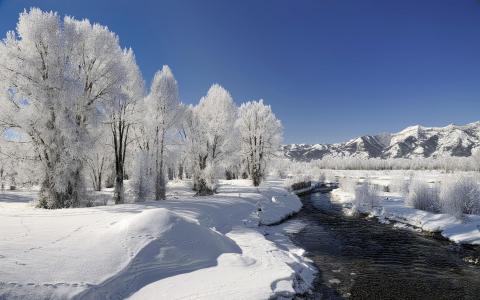 冬季雪景摄影美景